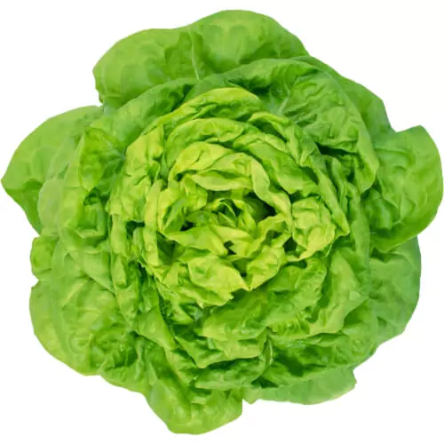 1699607272-35127-1-1-679df4f0efc12