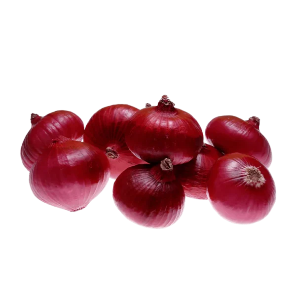 Oignon Rouge - بصلة حمراء