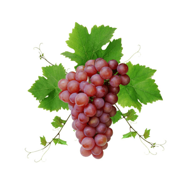 Raisins Noirs - عنب أسود