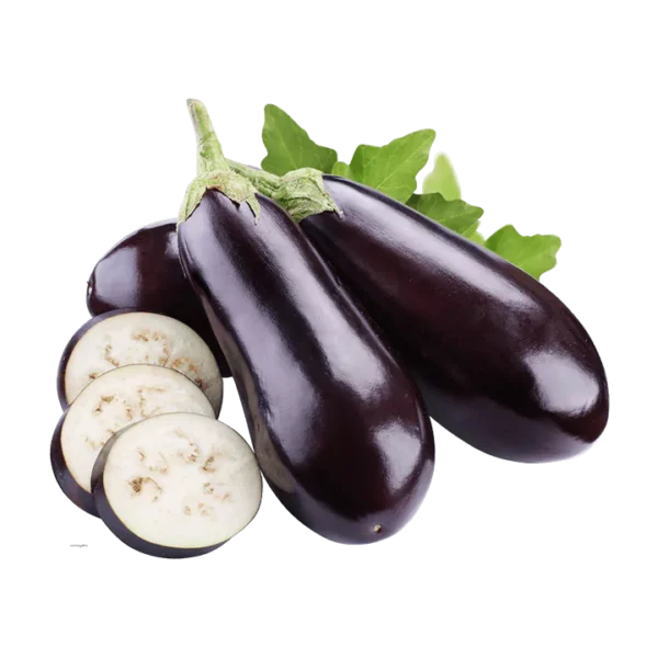 Aubergine - باذنجان