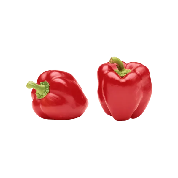 Poivron Rouge - فلفلة حمراء